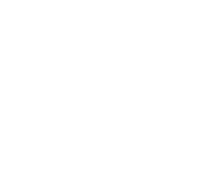 Decorative shape